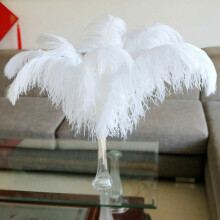 10Pcs pack Large Ostrich Feathers For Wedding Party Costume Decoration