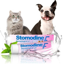 Stomodine F Cat & Dog Dental Gel (Meat Flavor) - Antibacterial Plaque & Bad Breath Control, Soothes Gums, Easy Application
