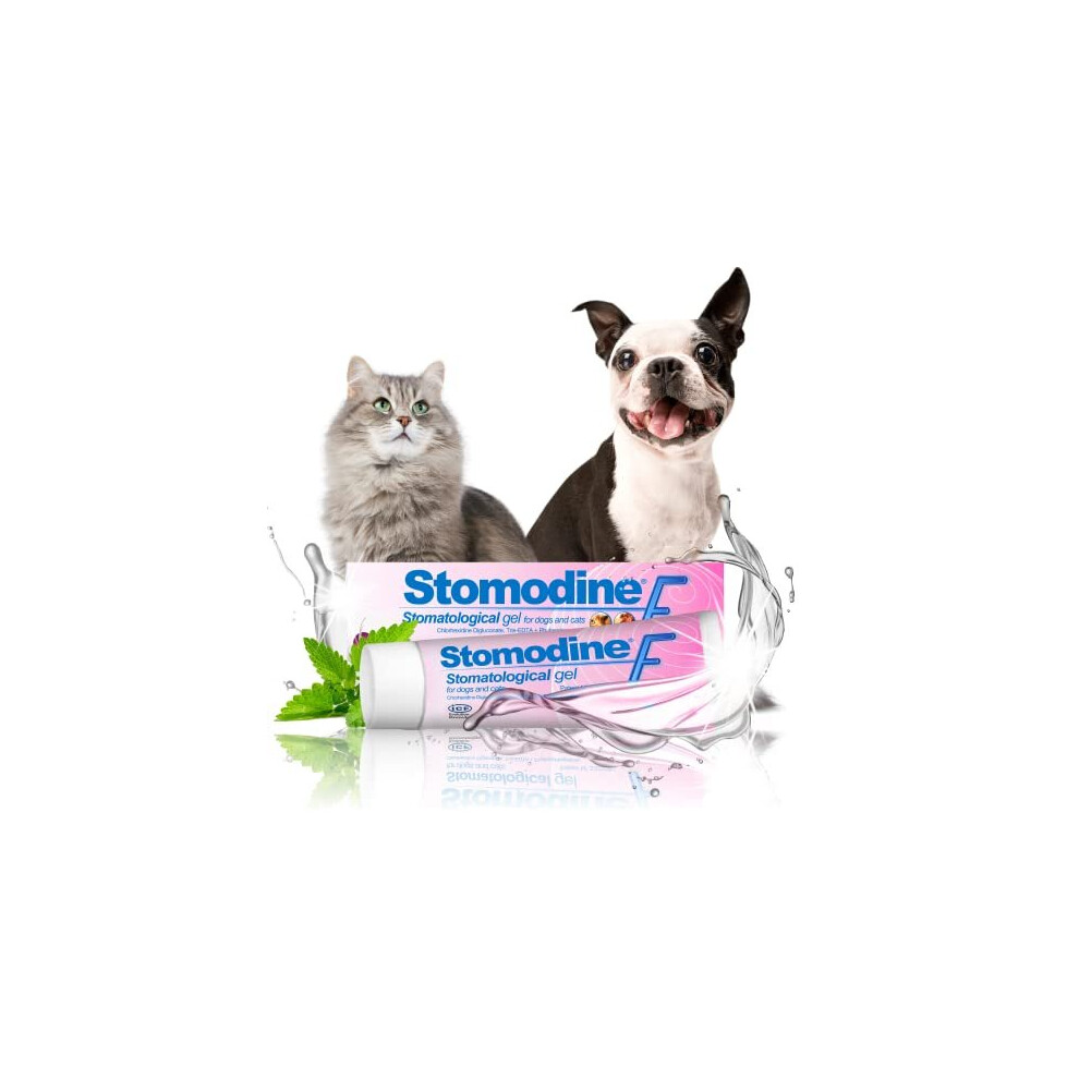 ICF | Stomodine F | Cat & Dog Toothpaste | Meat Flavour | Fights Plaque & Bad Breath | Healthy Dental Oral Hygiene | Easy to Use Teeth Cleaner for