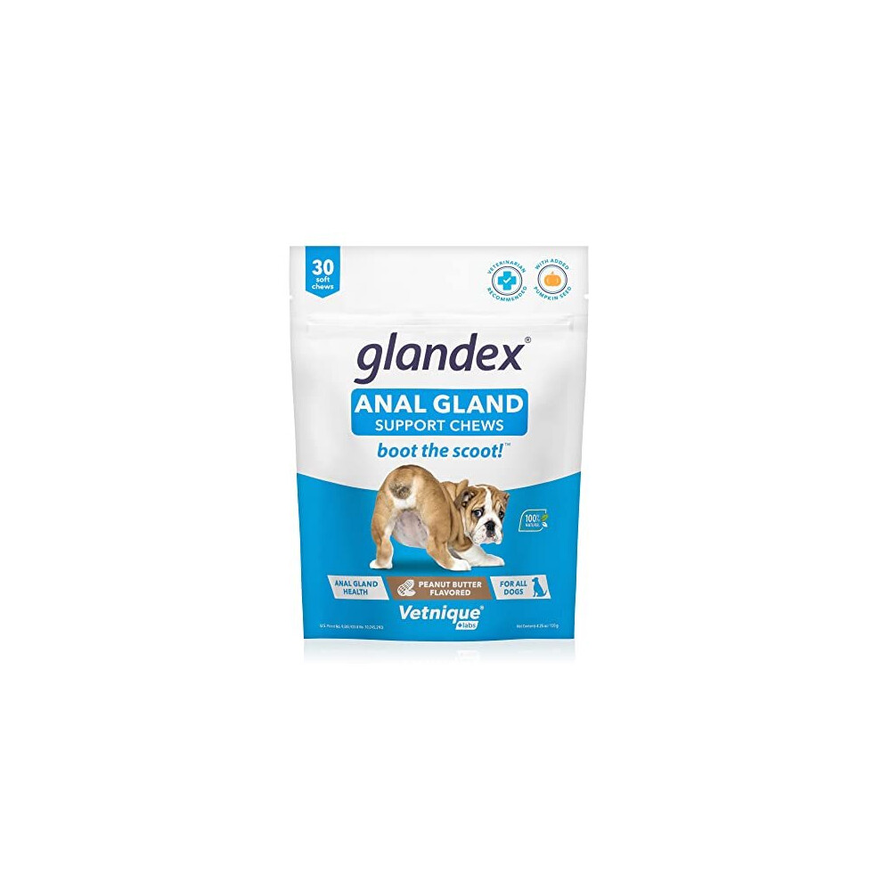 Glandex Fibre Supplements Dog Soft Chews with Pumpkin for Dogs, Digestive Enzyme & Probiotic - Vet Recommended to Boot the Scoot (30ct Chew)