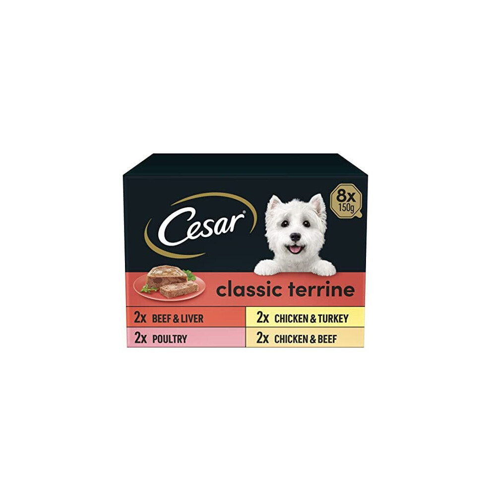 Cesar Classic Terrine in Jelly 24 Trays, Adult Premium Wet Dog Food, Mixed Selection, Pack of 3 (8 x 150 g)