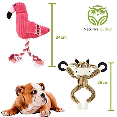 Nature?s Buddy Plush Dog Toys Squeaky, cuddly soft chew bundle 5