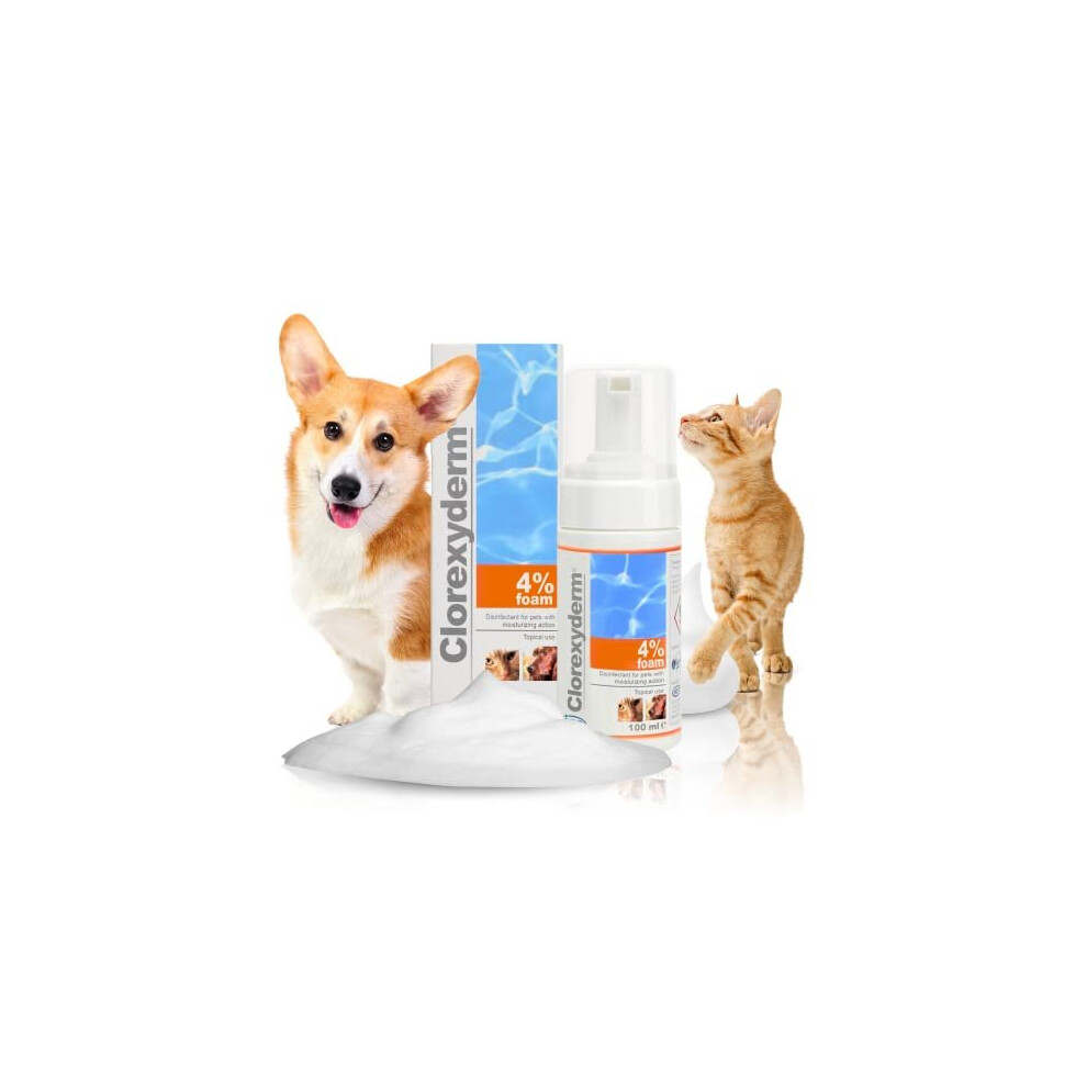 Icf Clorexyderm 4% Foam Mousse - Dry Shampoo For Dogs & Cats - Antibacterial & Antifungal - Dry Itchy Skin Relief ? Moisturises, Soothes & Softens Skin &