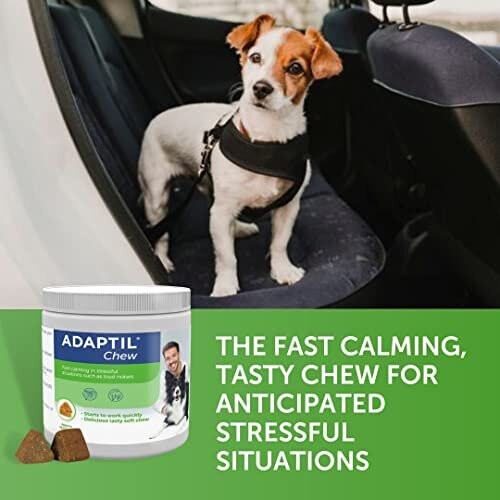 ADAPTIL Calming Chew, Brown, 30 Count (Pack of 1) 1