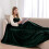 (Mint Green, Double) Moonlight Bedding Large Mink Blanket Multi-use Pet Fleece Throw 1
