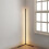 1.1/1.4/1.6M LED Dimmable Corner Floor Lamp with Remote Multicolor Black Housing 3