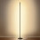 16W Warm / White / Dimmable Remote Control Floor Light Standing Lamp Table Lamp AC220V 6