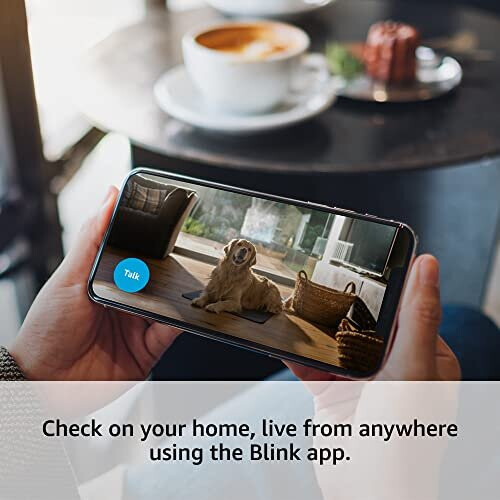 Blink Home Security Blink Mini Indoor Plug-In Security Camera - 1080p HD, Night Vision, Motion Detection, Two-Way Audio, Easy Setup, Alexa Enabled 2