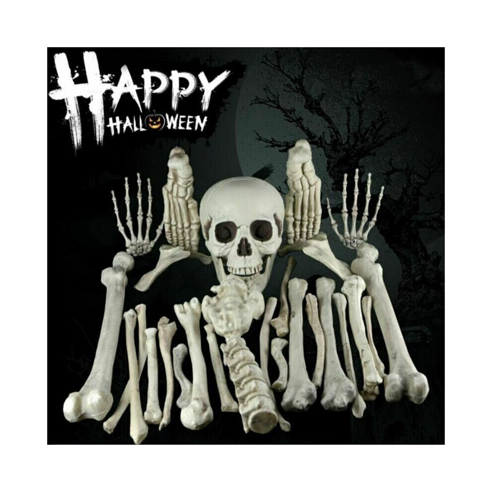 28x Halloween Scattered Bones Scary Skull Decoration Skeleton Party Decor Props-image-OPC-PCDT5RN-NEW