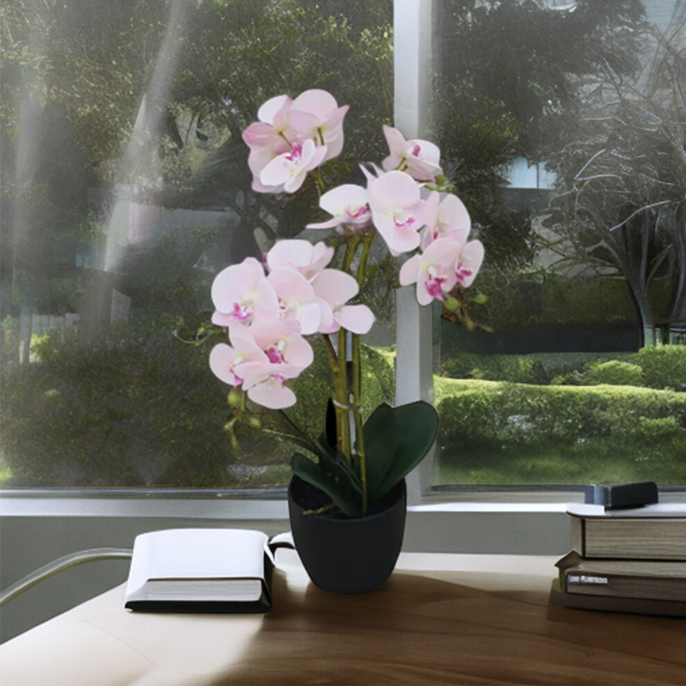 Denny Int Ltd (60Cm - Orchid) Large Artificial Palm Trees, Ficus Plants, Bamboo Tropical Yukka Ultra Realistic
