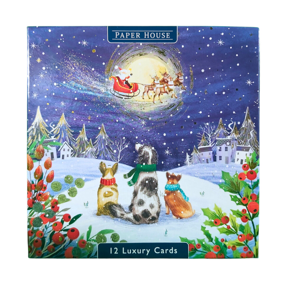 Box of 12 Paper House Festive Dogs Christmas Cards In 3 Designs Boxed Xmas