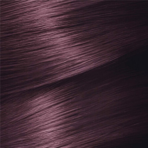 Garnier GARNIER - Garnier Tinta per Capelli Nutrisse 4,26 Viola 1