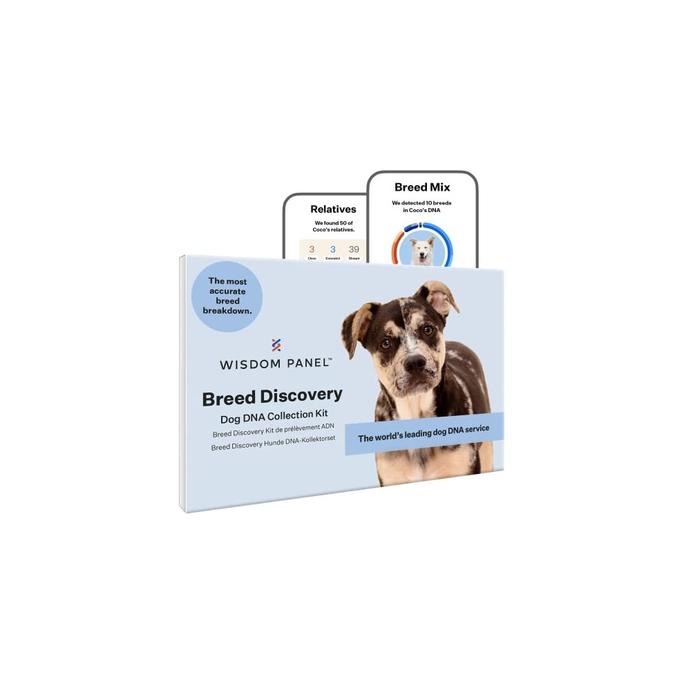 Wisdom Panel Breed Discovery Dog Dna Test Kit - Most Accurate Breed Id Mdr1 Ancestry Relatives