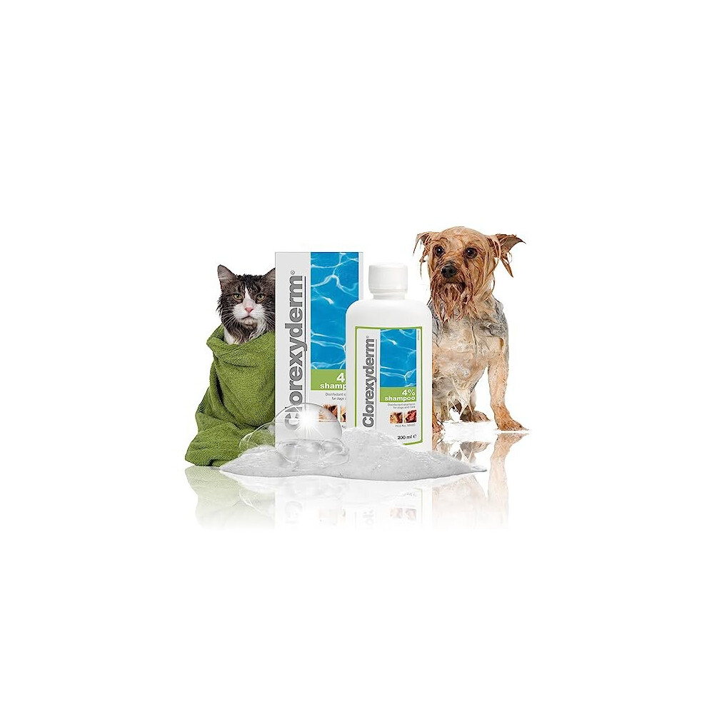 ICF | Clorexyderm Dog Shampoo For Itchy Skin Relief | Anti Itch + Antifungal + Antibacterial Shampoo, Conditioner For Pets With Sensitive Skin 200 ml