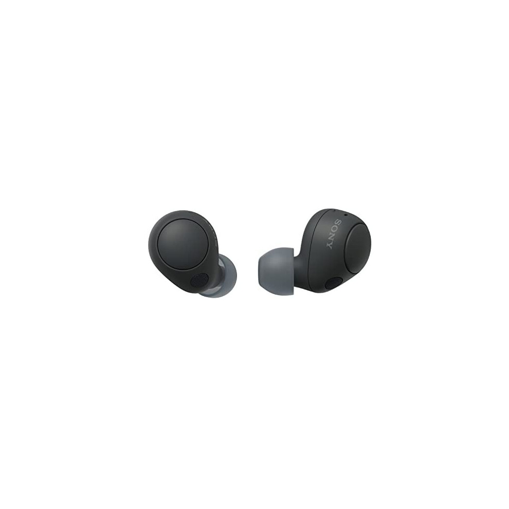 Sony WF-C700N Wireless, Bluetooth, Noise Cancelling Earbuds (Small ...