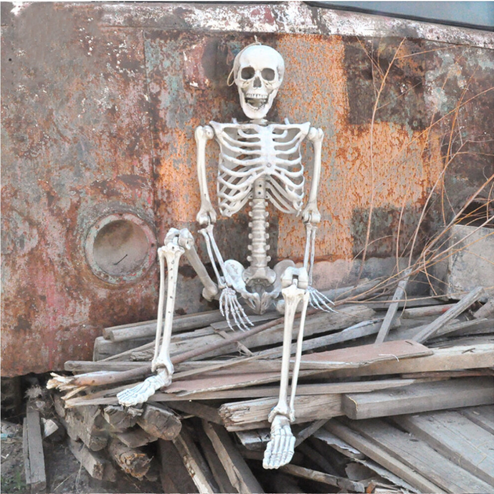 Halloween Realistic Full Body Skeleton Prop Decoration Posable Joints, 160CM