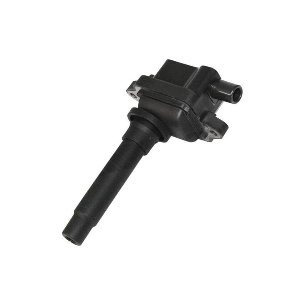 Walker Products 921-2063 Vehicle Ignition Coil 724620101076