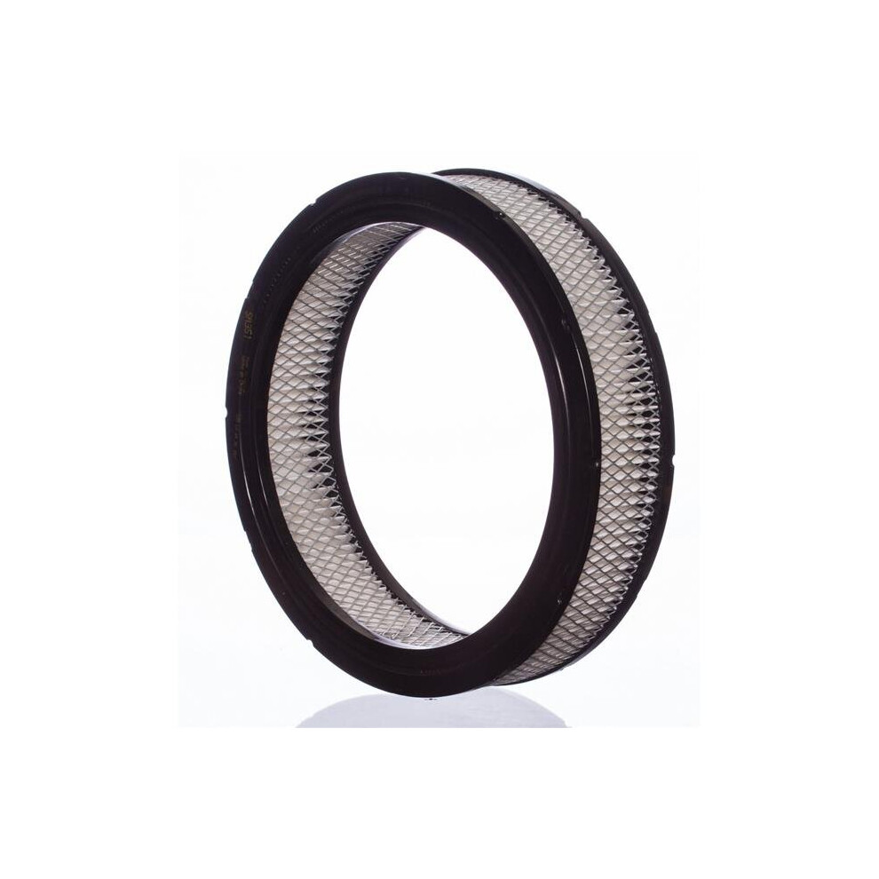 Pronto Pa113 Air Filter For 1977-1983 Ford F350 846156012791
