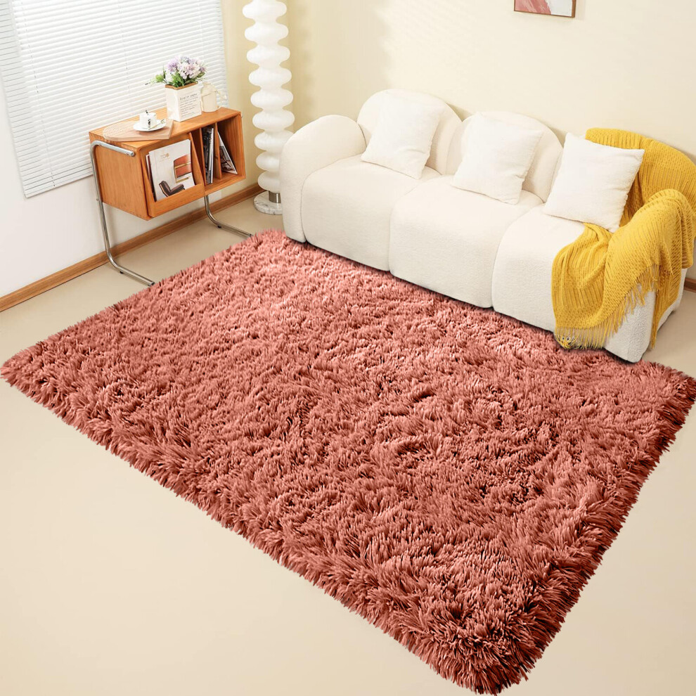 (120cm x 170cm OR 4ft x 5ft 6"- Small Area Rug, Rust/ Orange- Area Rug) Large Fluffy Shaggy Rugs Non-Slip Living Room Rug