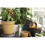 Green Basic Incubator 13 - Incubator - Dark Grey - Inside and Outside - ? 17 x H 15.6 cm 5
