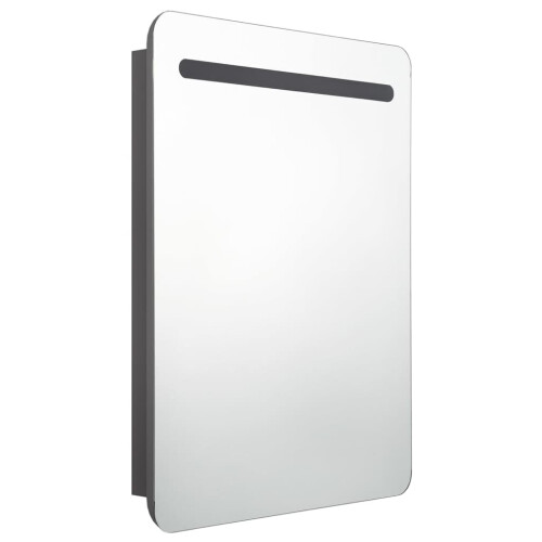 VidaXL vidaXL LED-Bad-Spiegelschrank Grau 60x11x80 cm 2