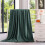 Imperial Rooms (Green Emerald Blanket) Fleece Blankets Double Warm Soft Plush Mink Throws 4