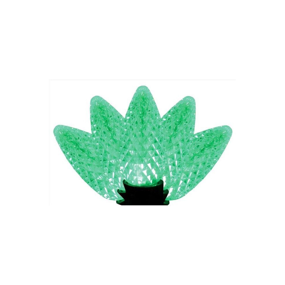 Photos - Garden & Outdoor Decoration Celebrations 9086419 25 ft. Platinum LED C9 String Christmas Lights, Green - 25 Count Green,Silver 9086419