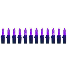 Celebrations 9086857 LED T5 Halloween Lights, Purple - 100 Count