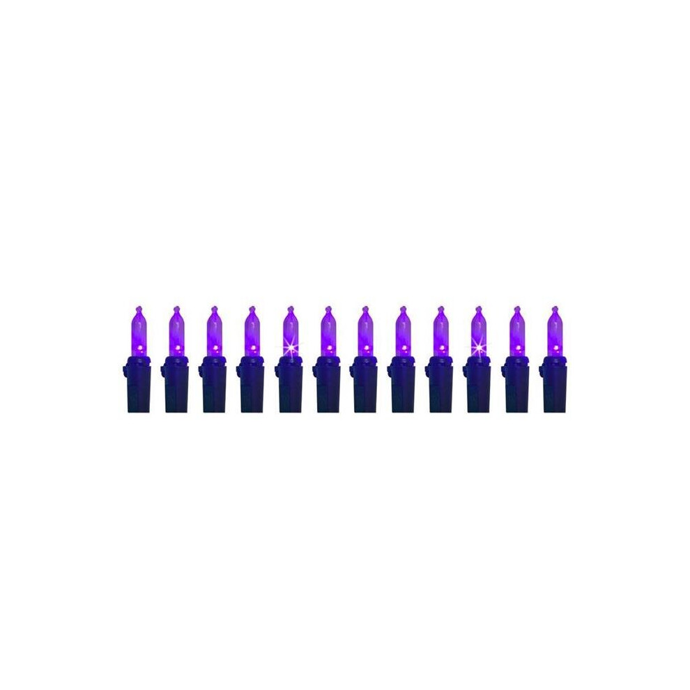 Photos - Garden & Outdoor Decoration Celebrations 9086857 LED T5 Halloween Lights, Purple - 100 Count 