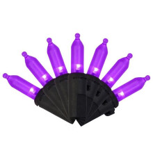 Celebrations 9086890 LED Halloween Lights, Purple - 100 Count