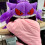 Gengar Headgear Siesta Plush Cushion Pillow Sleeping Blanket Dual Decor Purpose 5