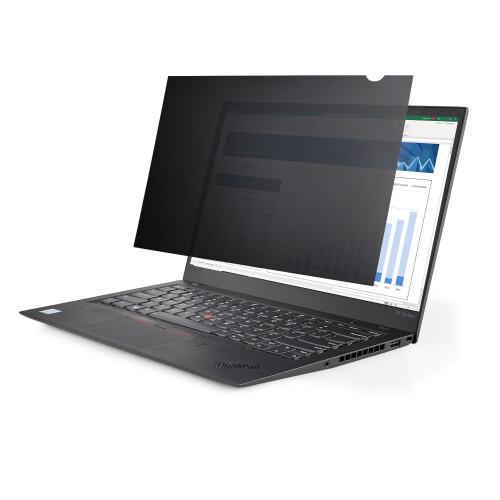 StarTech.com Privacyfilter - Startech anti-indiscretiefilter - 173L-PRIVACY-SCREEN