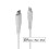 Lindy USB-C til Lightning-kabel 0,5m hvid, 31315 1