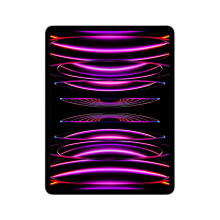 Apple iPad Pro 5G TD-LTE & FDD-LTE 256 GB 32.8 cm (12.9") Apple M... - Refurbished