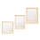 Plant Photo Frame Double Sided Dried Leaf Support Modern DIY Decoration 2