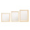 Plant Photo Frame Double Sided Dried Leaf Support Modern DIY Decoration 7