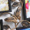 Collage Photo Frames Frame Picture Wall Decor Display Pictures Gallery 7