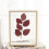 Plant Photo Frame Double Sided Dried Leaf Support Modern DIY Decoration 4