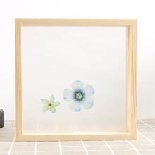 Plant Photo Frame Double Sided Dried Leaf Support Modern DIY Decoration