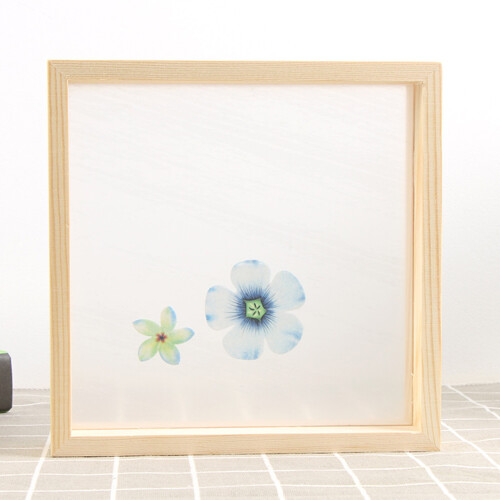 Plant Photo Frame Double Sided Dried Leaf Support Modern DIY Decoration