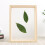 Plant Photo Frame Double Sided Dried Leaf Support Modern DIY Decoration 5