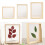 Plant Photo Frame Double Sided Dried Leaf Support Modern DIY Decoration 6