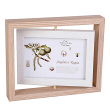 Ornament Double Sided Photo Frame Birthday Present 6inch Creative 6 Inch Log Rotation Home Decor Gift Specimen Box