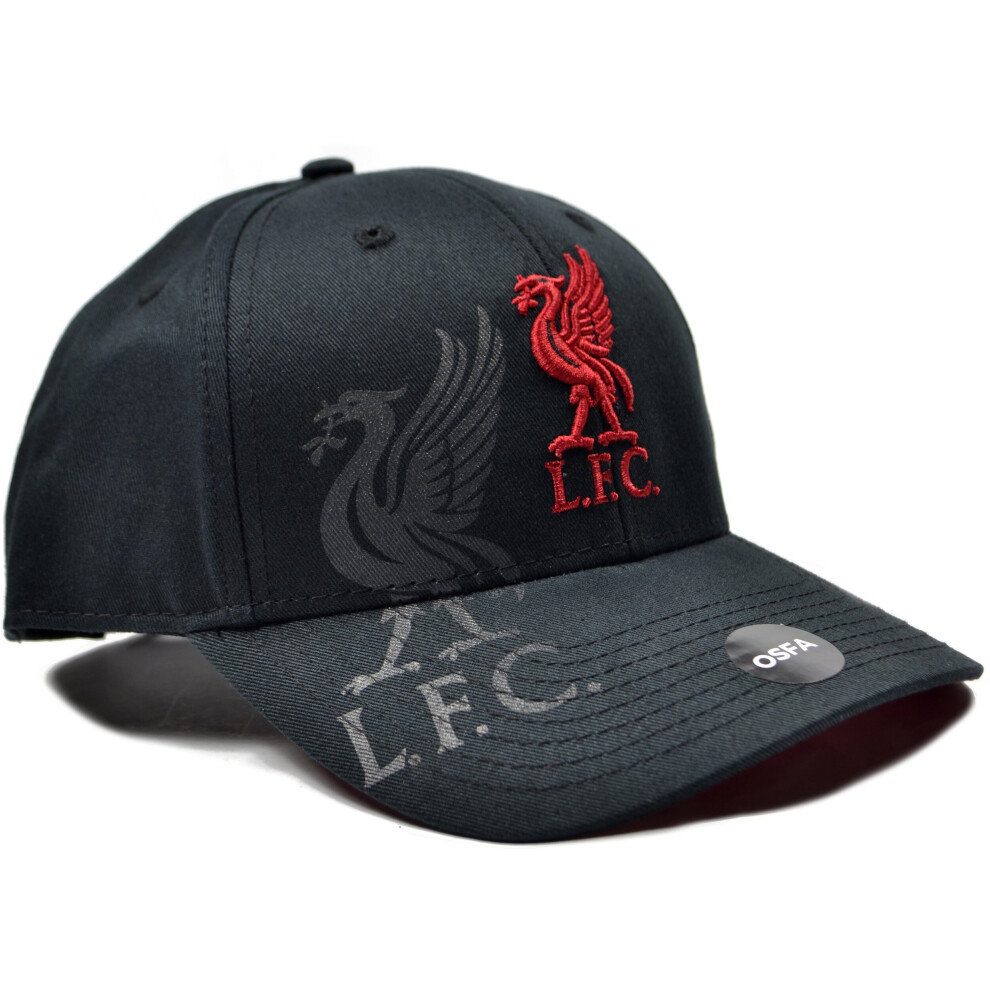 Liverpool FC Obsidian Cap Black