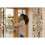 Kärcher Kärcher WV 1 Window Vac 19