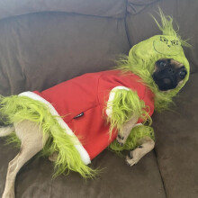 (XL) Cute Puppy Grinch Costume Coat Gift Winter Warm Coat Pet Coat Green