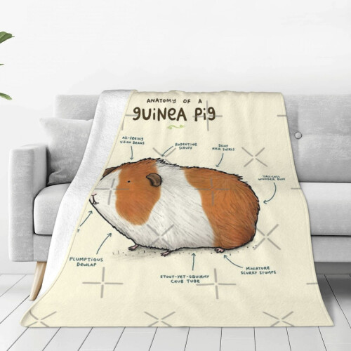Anatomy Of A Guinea Pig Prevent Allergy Bed Set Cover Warmer Ultralight on OnBuy
