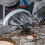 wolfcraft wolfcraft Extraction Hood for Angle Grinder & Dust Removal 5