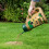 Miracle-Gro Miracle-Gro Patch Magic Dog Spot Repair 1293 g 7