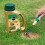 Miracle-Gro Miracle-Gro Patch Magic Dog Spot Repair 1293 g 8